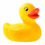 Rubber Duck